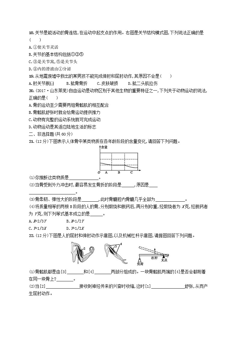2020年北师大版八年级生物上册第15章动物的运动 测评(含答案)03