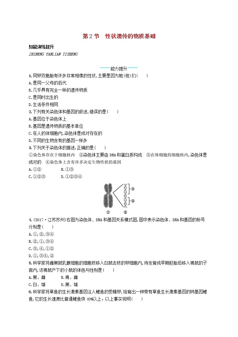 2020年北师大版八年级生物上册20.2性状遗传的物质基础 课后习题(含答案)01