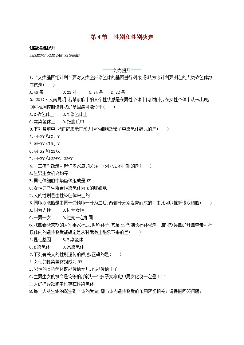2020年北师大版八年级生物上册20.4性别和性别决定 课后习题(含答案)01