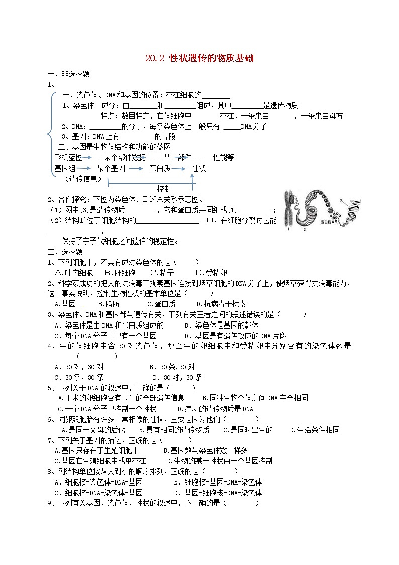 2020年北师大版八年级生物上册20.2性状遗传的物质基础 同步练习第1页