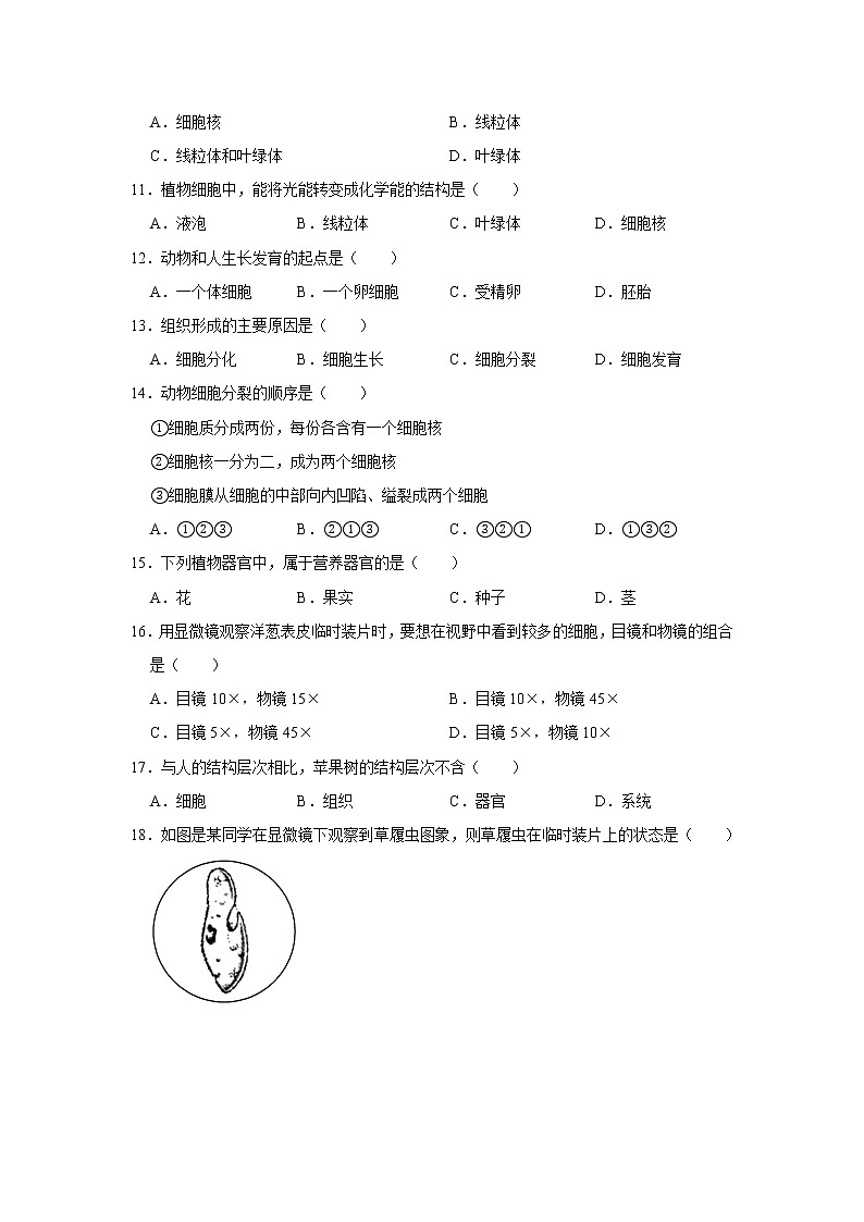 2020-2021学年安徽省滁州市定远县七年级（上）期中生物试卷   解析版02