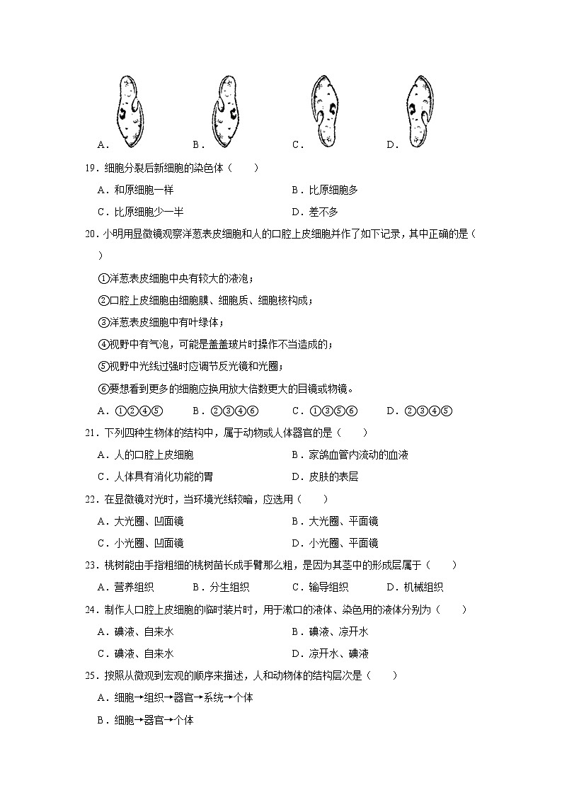 2020-2021学年安徽省滁州市定远县七年级（上）期中生物试卷   解析版03