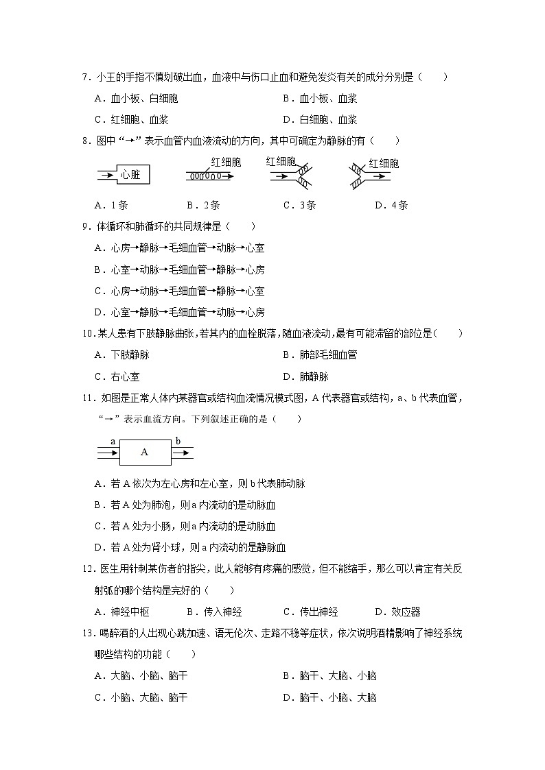 2020-2021学年江苏省连云港市东海县八年级（上）期中生物试卷    解析版02