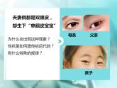 北师大版八年级上册生物：20.3 性状遗传有一定的规律 课件（36张PPT）