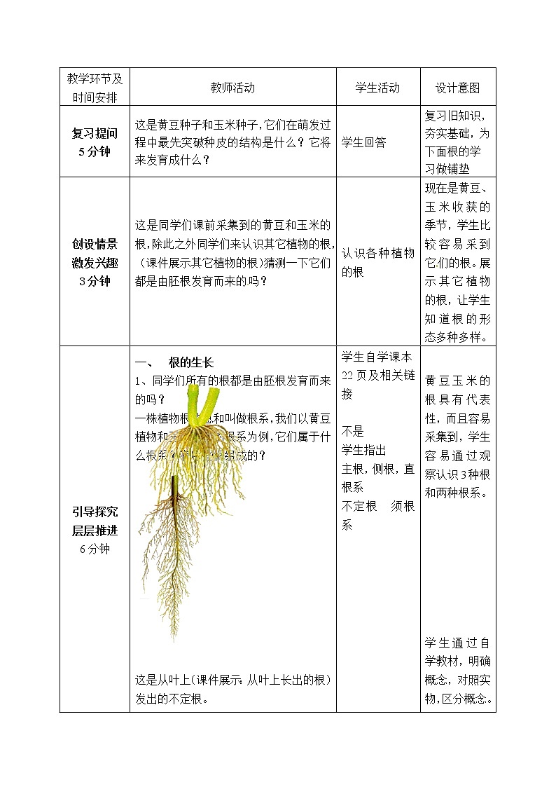 济南版八年级生物上册教案：4-1-5 根的结构与功能 （第一课时）02