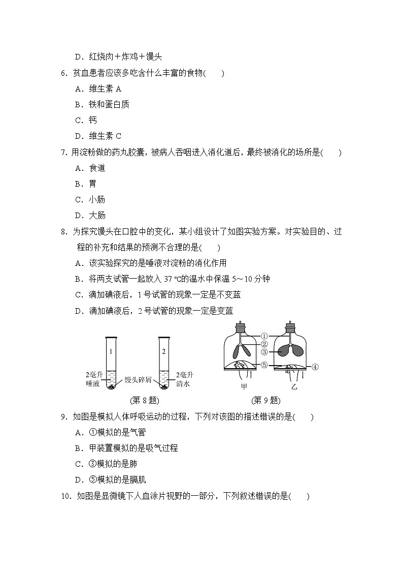 人教版生物七年级下册期末测试卷含答案02