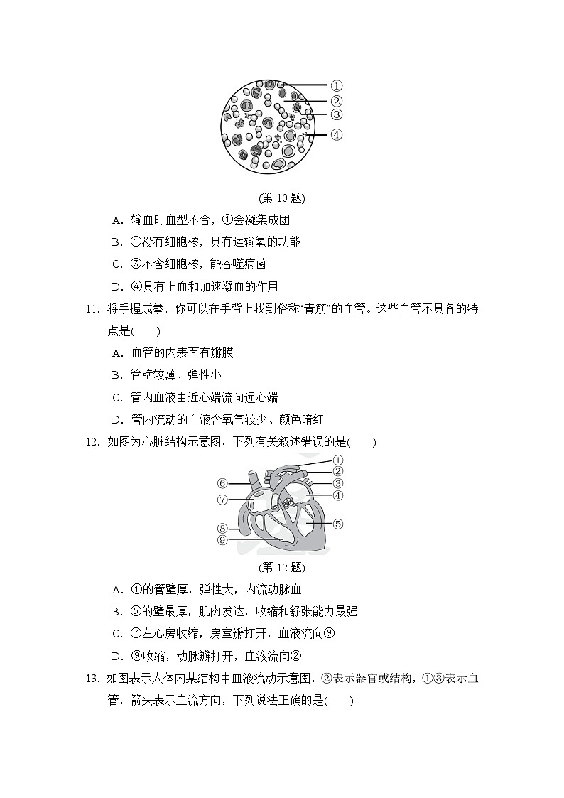 人教版生物七年级下册期末测试卷含答案03