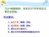 人教版初中生物七上《第二节 生物与环境组成生态系统：食物链与食物网》PPT课件
