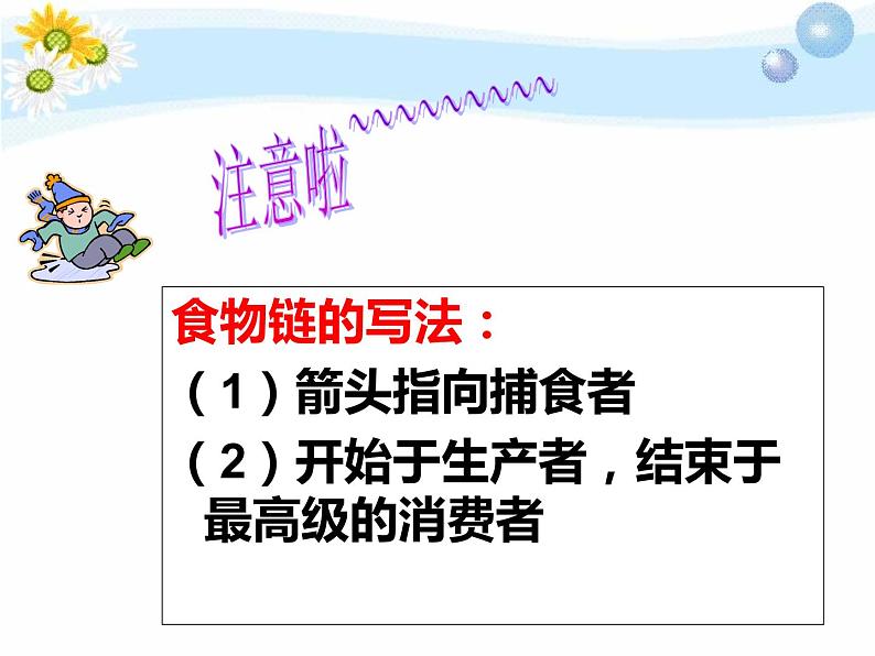 人教版初中生物七上《第二节 生物与环境组成生态系统：食物链与食物网》PPT课件第5页