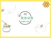 人教版初中生物八上《软体动物和节肢动物》PPT课件