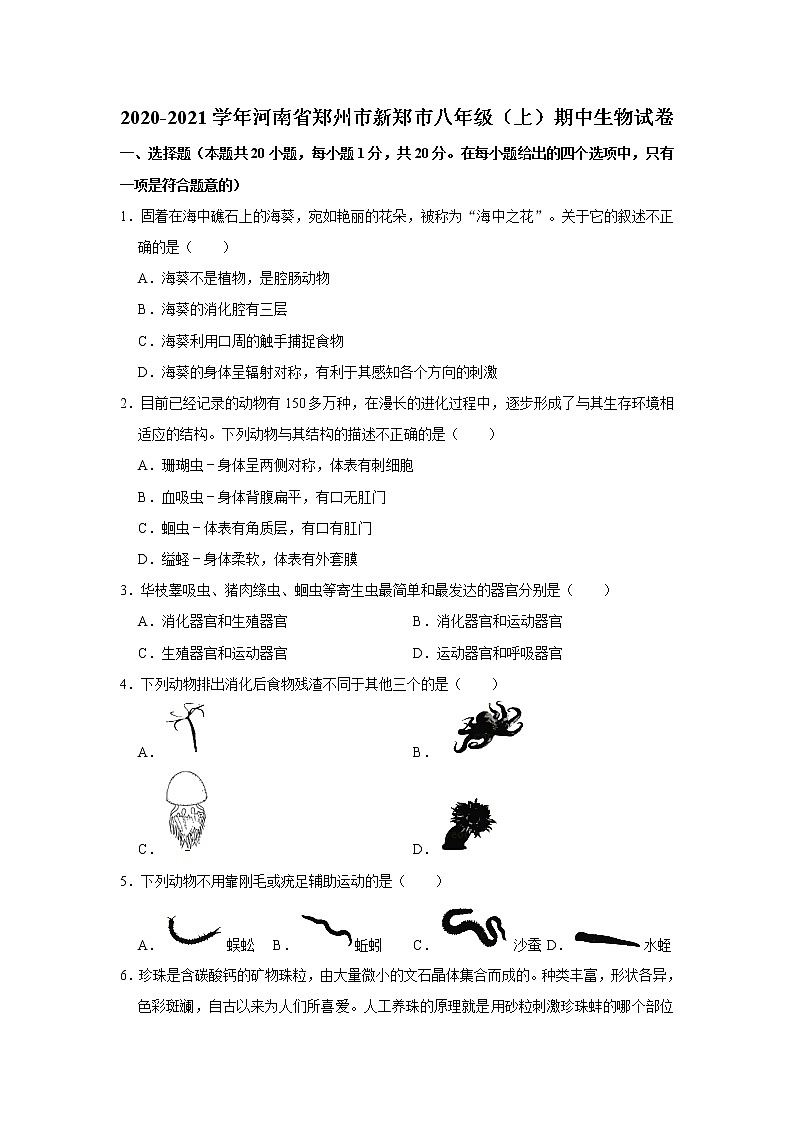 2020-2021学年河南省郑州市新郑市八年级（上）期中生物试卷  解析版01
