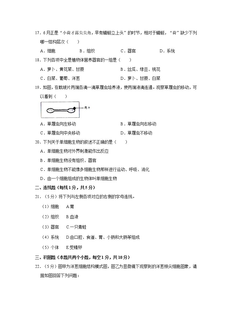 2020-2021学年辽宁省沈阳市法库县七年级（上）期中生物试卷   解析版03
