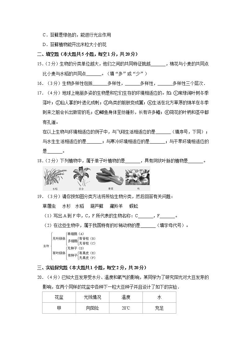 2020-2021学年浙江省宁波市慈溪市七年级（上）期中生物试卷   解析版03