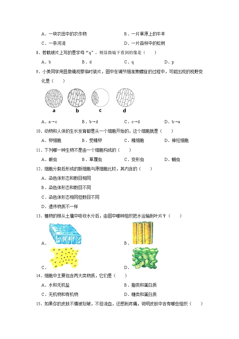 2020-2021学年河南省焦作市温县七年级（上）期中生物试卷   解析版02