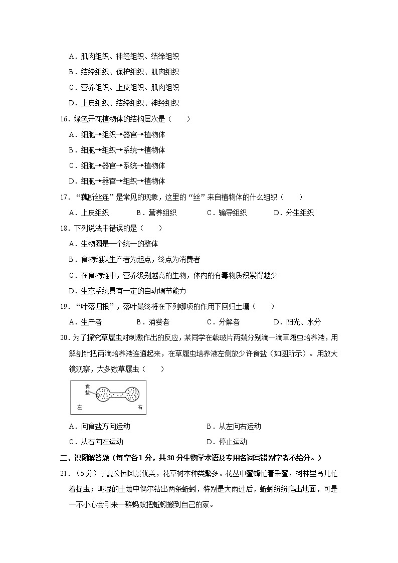 2020-2021学年河南省焦作市温县七年级（上）期中生物试卷   解析版03