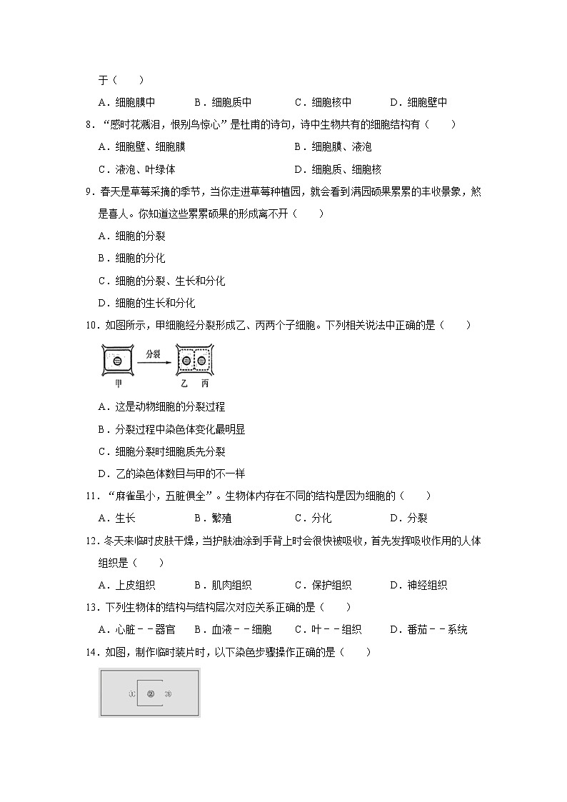 福建省莆田市仙游县2020-2021学年七年级（上）期中生物试卷   解析版02