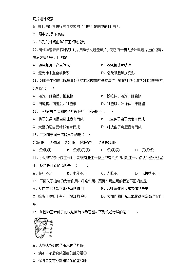 人教版七年级生物上册期末常考题型综合复习题    含答案02