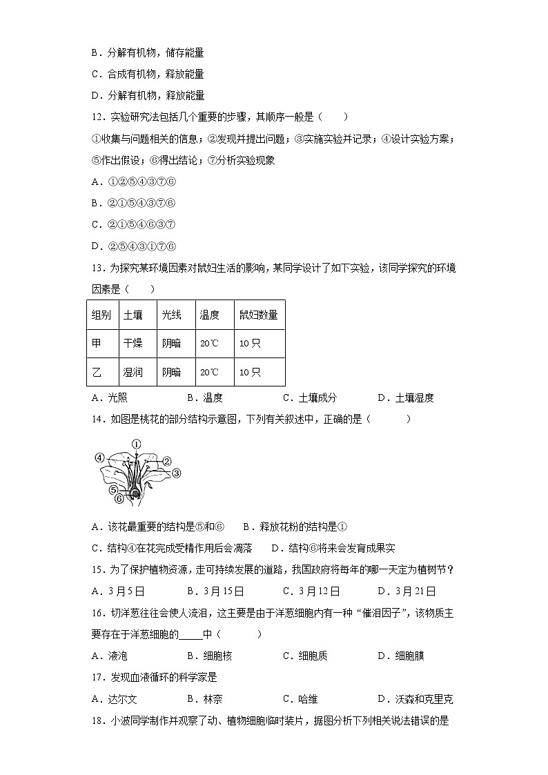 北师大版七年级生物上册期末综合复习题    含答案02
