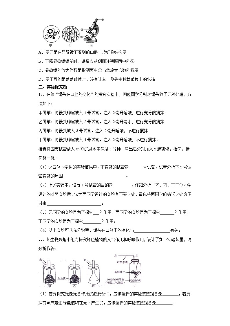 北师大版七年级生物上册期末综合复习题    含答案03