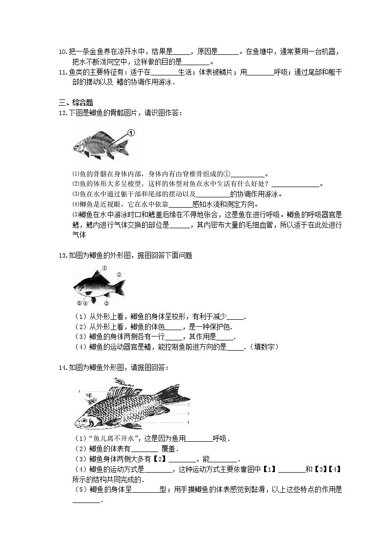 2020年人教版生物八年级上册5.1.4《鱼》精选练习(含答案)02