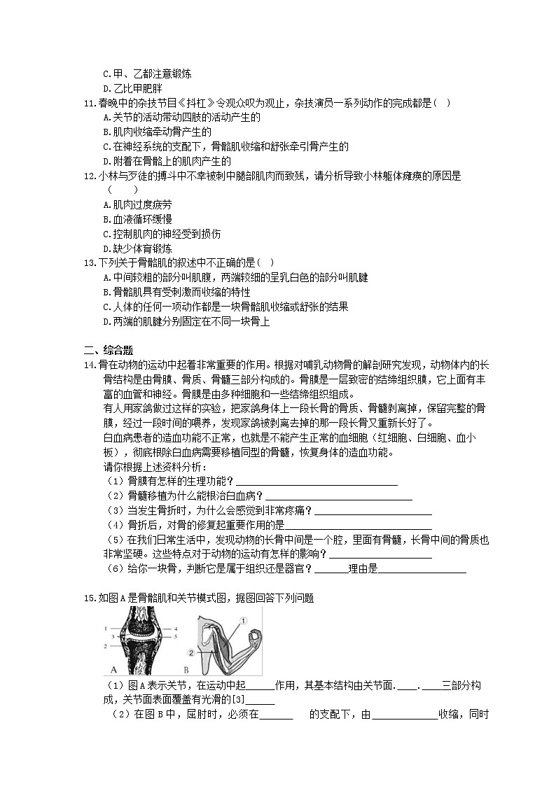 2020年人教版生物八年级上册5.2.1《动物的运动》精选练习(含答案)02