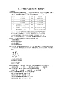 初中生物人教版 (新课标)八年级上册第一节   细菌和真菌的分布优秀达标测试