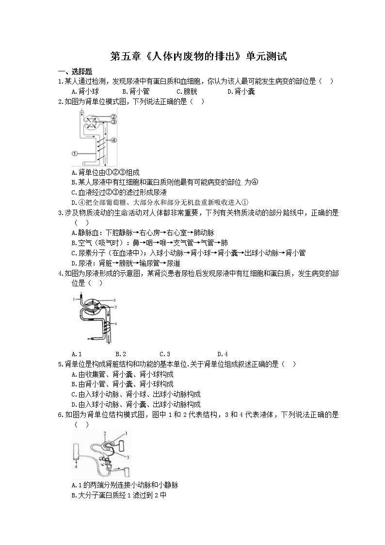 2021年人教版生物七年级下册第四单元第五章《人体内废物的排出》单元测试(含答案)第1页