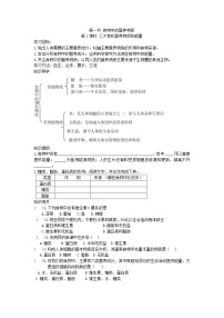 初中生物第一节 食物中的营养物质精品学案