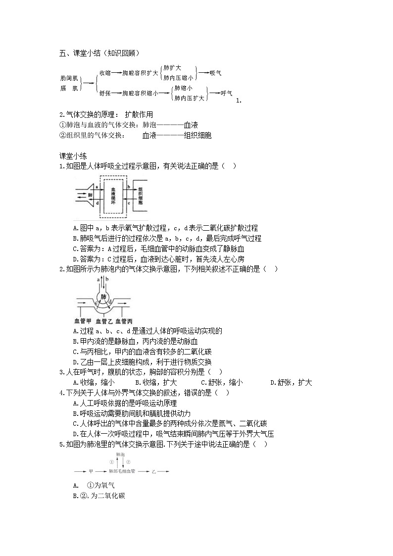 2021年人教版生物七年级下册学案4.3.2《发生在肺内的气体交换》(含答案)02
