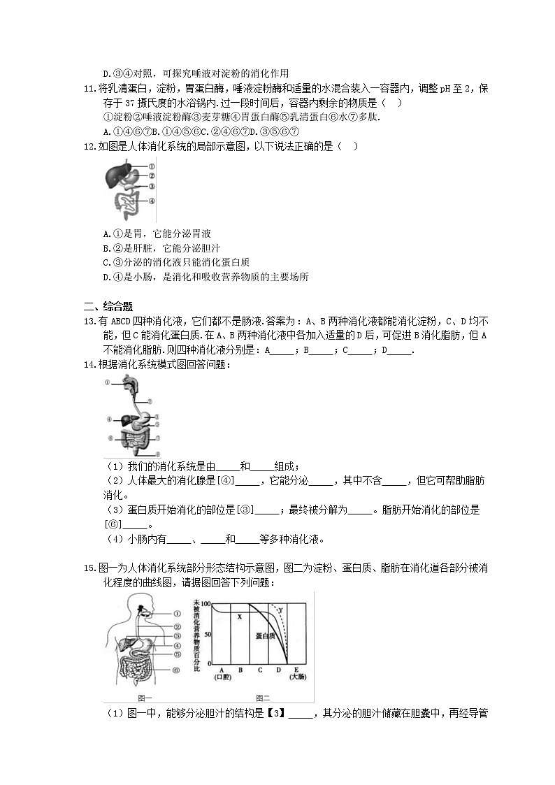 人教版生物七年级下册4.2.2《消化和吸收》同步练习(含答案)02