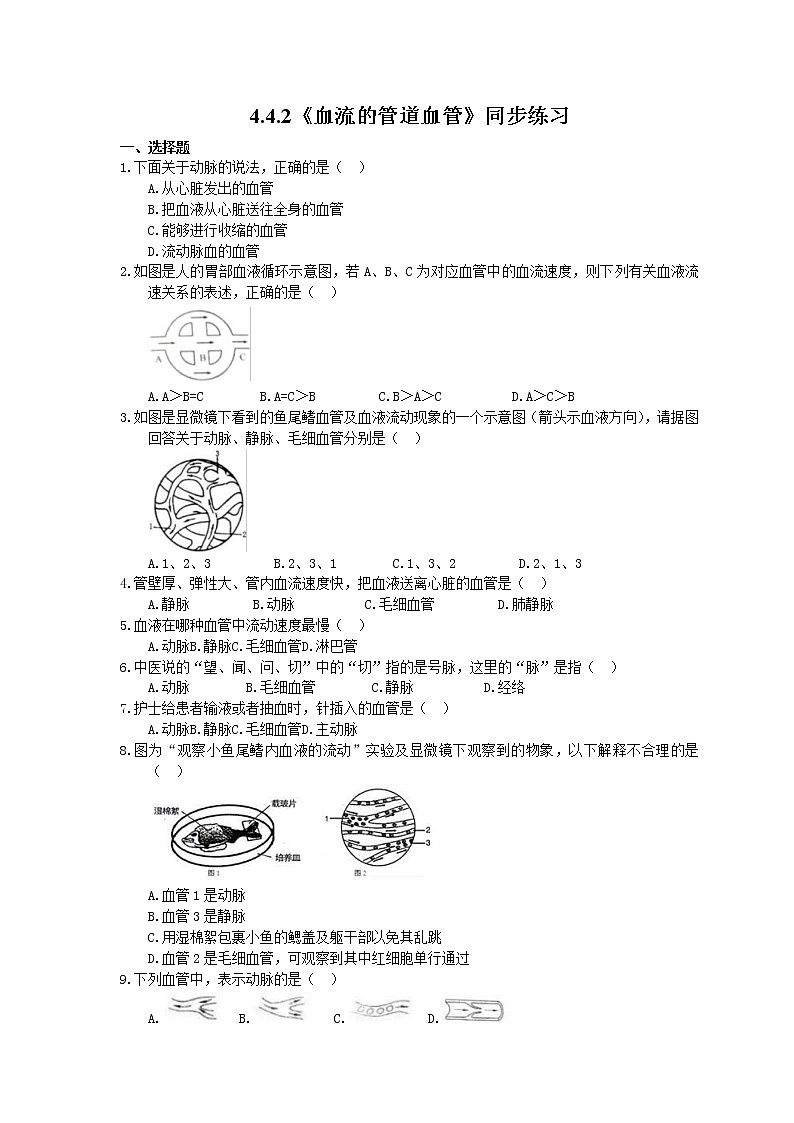 人教版生物七年级下册4.4.2《血流的管道血管》同步练习(含答案)01