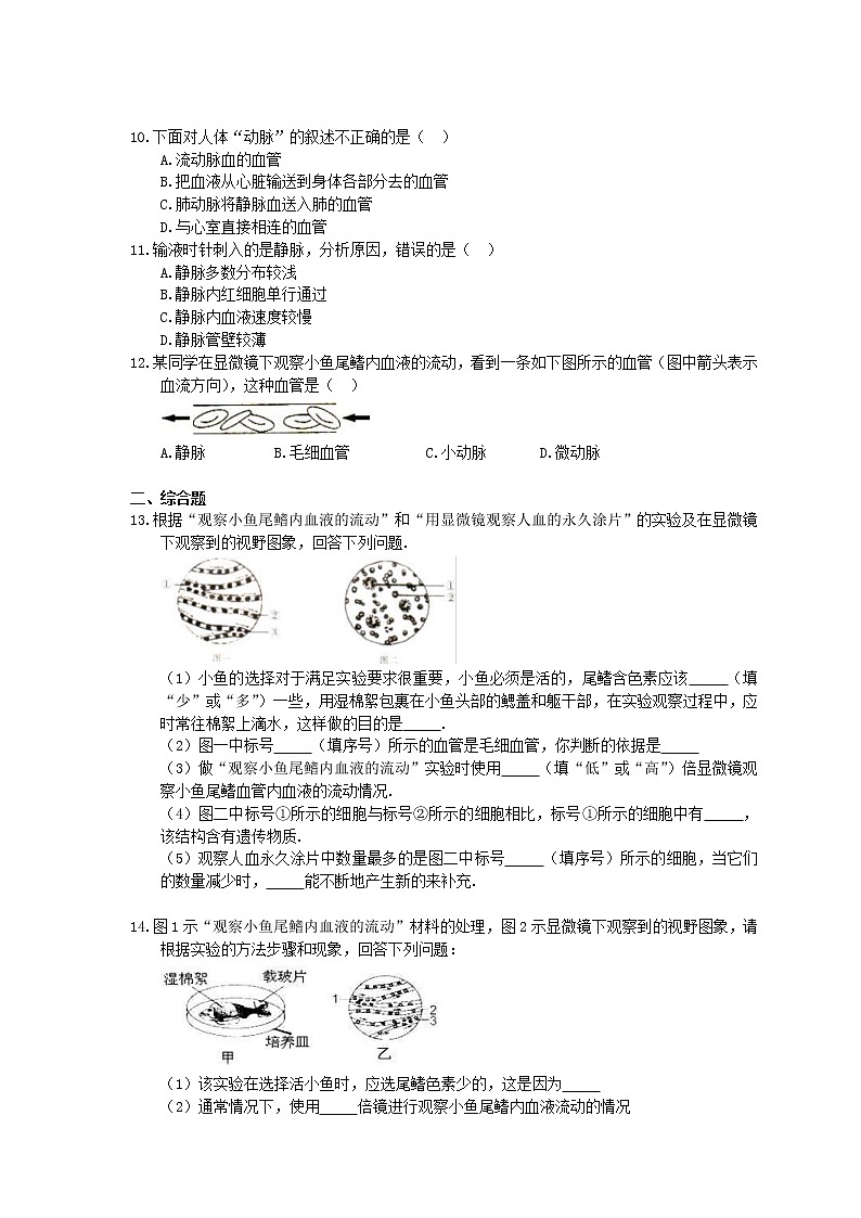 人教版生物七年级下册4.4.2《血流的管道血管》同步练习(含答案)02