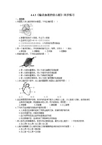 初中生物人教版 (新课标)七年级下册第三节 输送血液的泵──心脏精品综合训练题