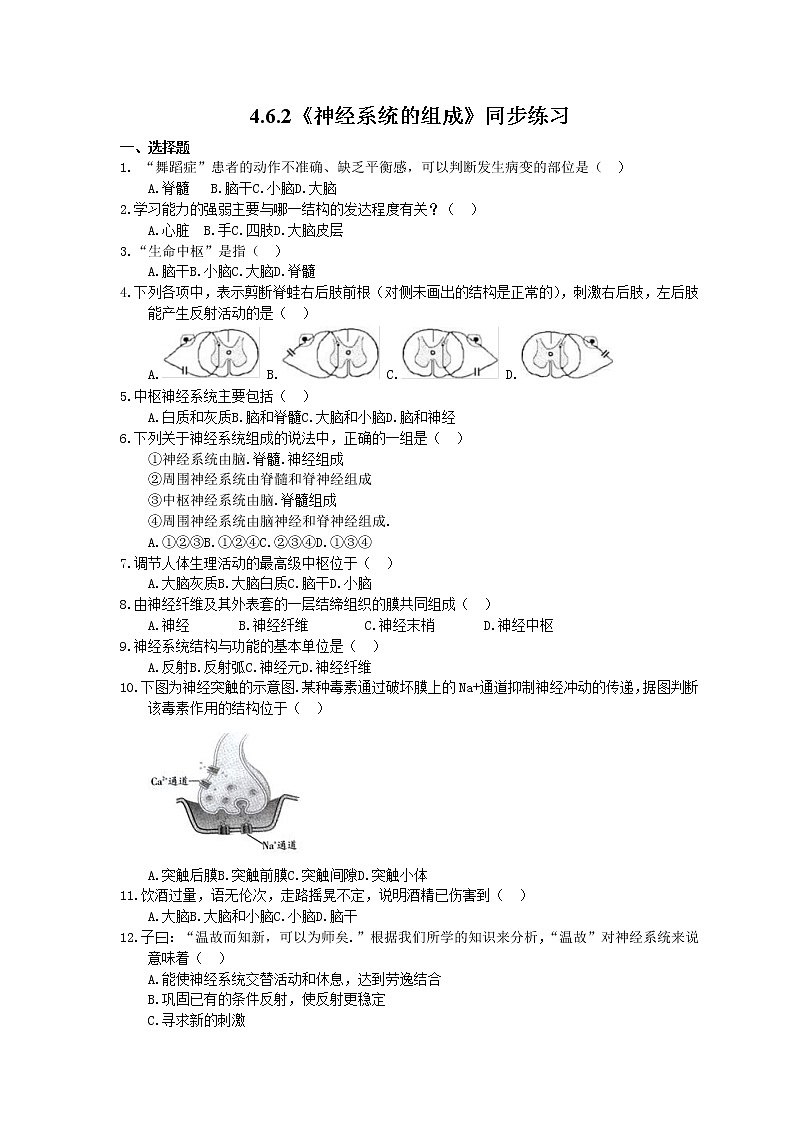 2021年人教版生物七年级下册4.6.2《神经系统的组成》同步练习第1页