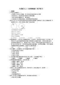 生物人教版 (新课标)第二单元 生物体的结构层次第一章 细胞是生命活动的基本单位第三节 动物细胞精品同步测试题