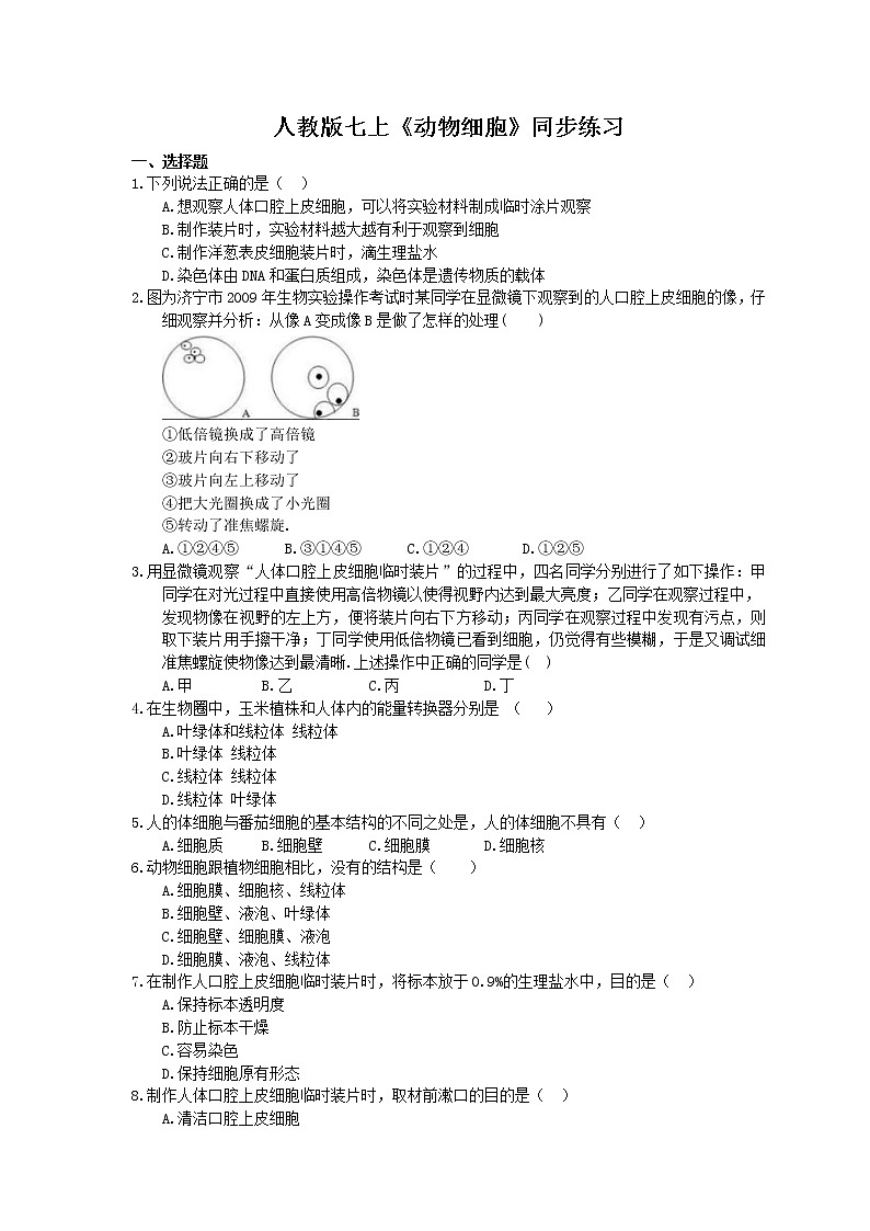 2020年人教版生物七上《动物细胞》同步练习(含答案)01