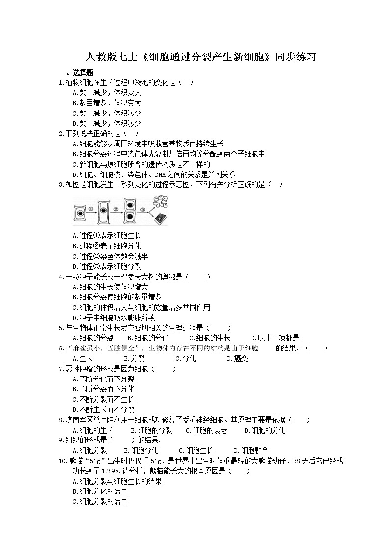 2020年人教版生物七上《细胞通过分裂产生新细胞》同步练习(含答案)01