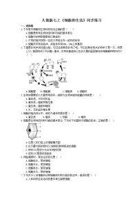 初中生物人教版 (新课标)七年级上册第二单元 生物体的结构层次第一章 细胞是生命活动的基本单位第四节  细胞的生活精品课后测评