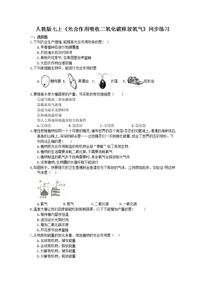2020年人教版生物七上《光合作用吸收二氧化碳释放氧气》同步练习(含答案)01