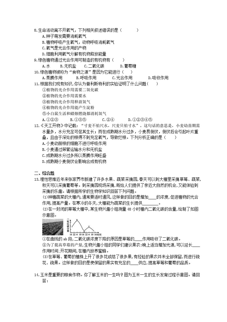 2020年人教版生物七上《光合作用吸收二氧化碳释放氧气》同步练习(含答案)02