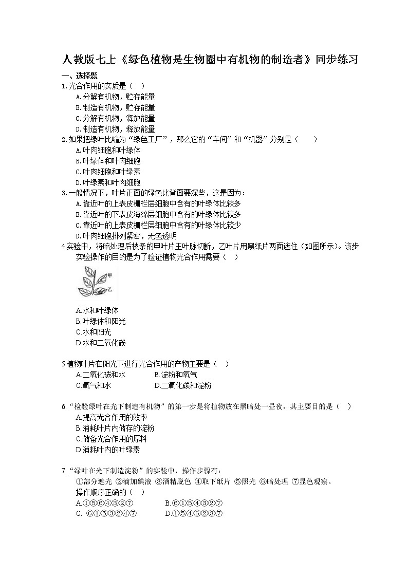 2020年人教版生物七上《绿色植物是生物圈中有机物的制造者》同步练习(含答案)01