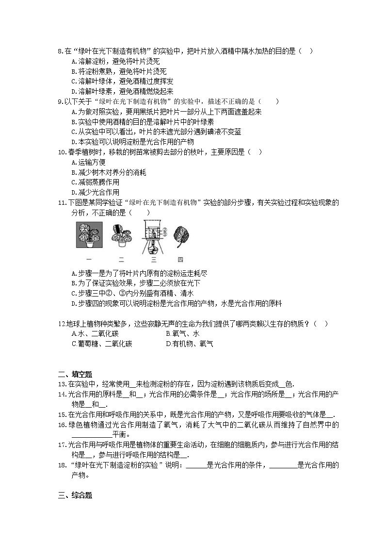 2020年人教版生物七上《绿色植物是生物圈中有机物的制造者》同步练习(含答案)02