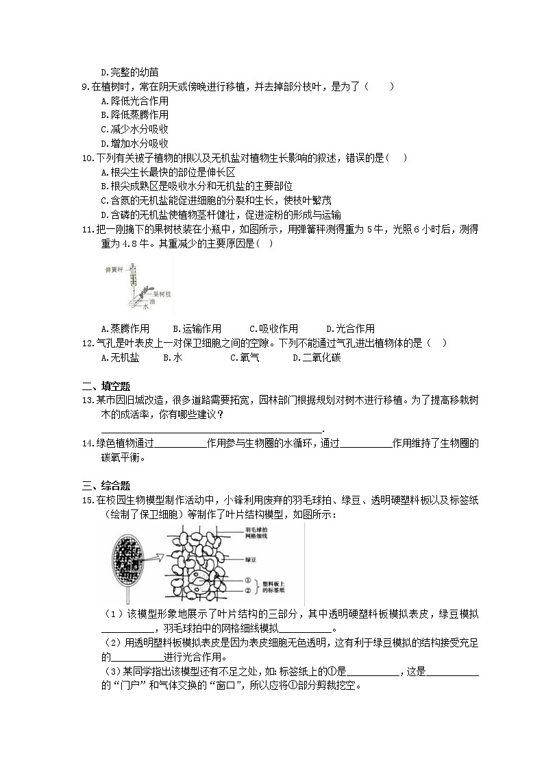 2020年人教版生物七上《绿色植物与生物圈的水循环》同步练习(含答案)02