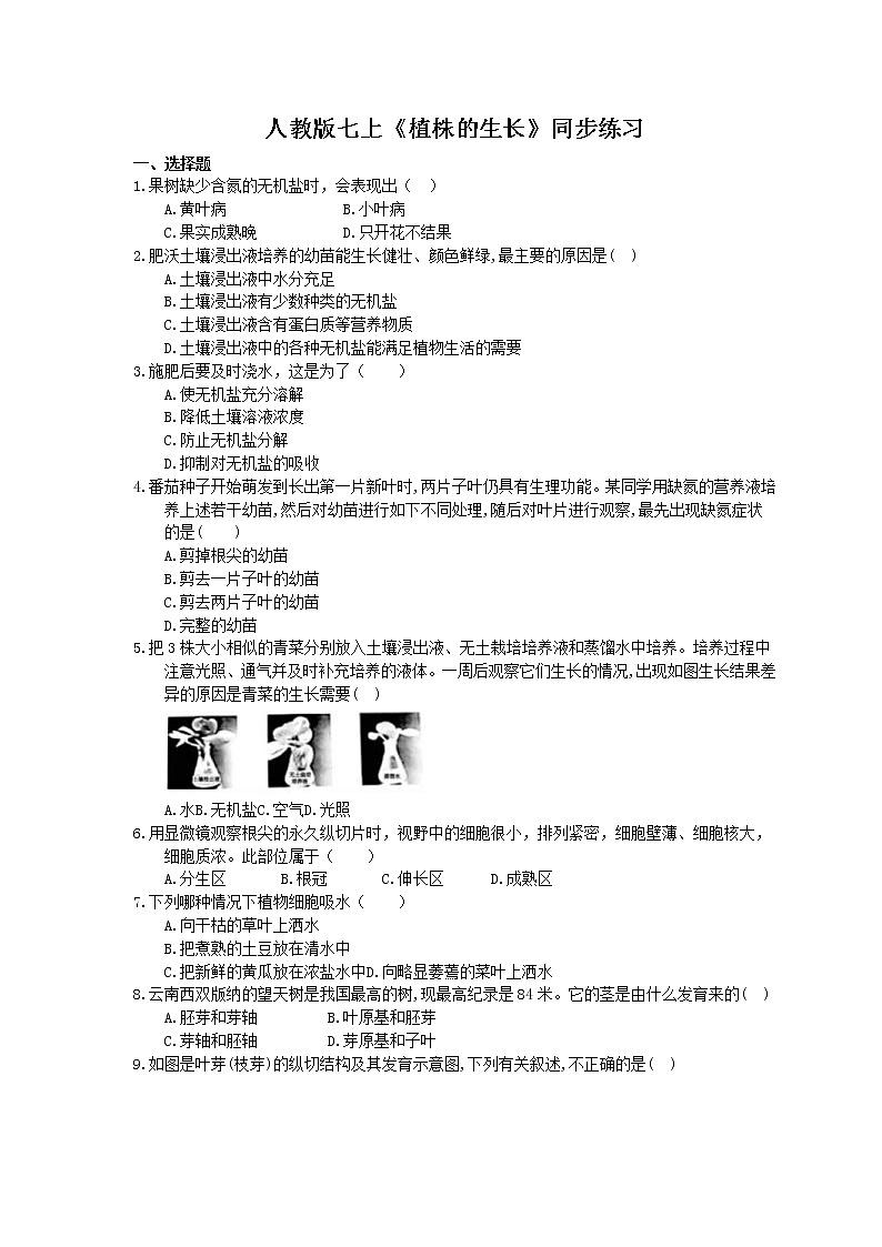 2020年人教版生物七上《植株的生长》同步练习(含答案)01