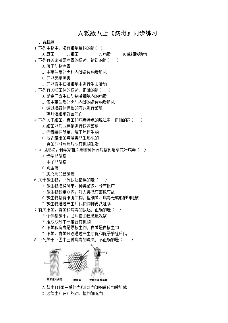 人教版生物八上《病毒》同步练习(含答案)01
