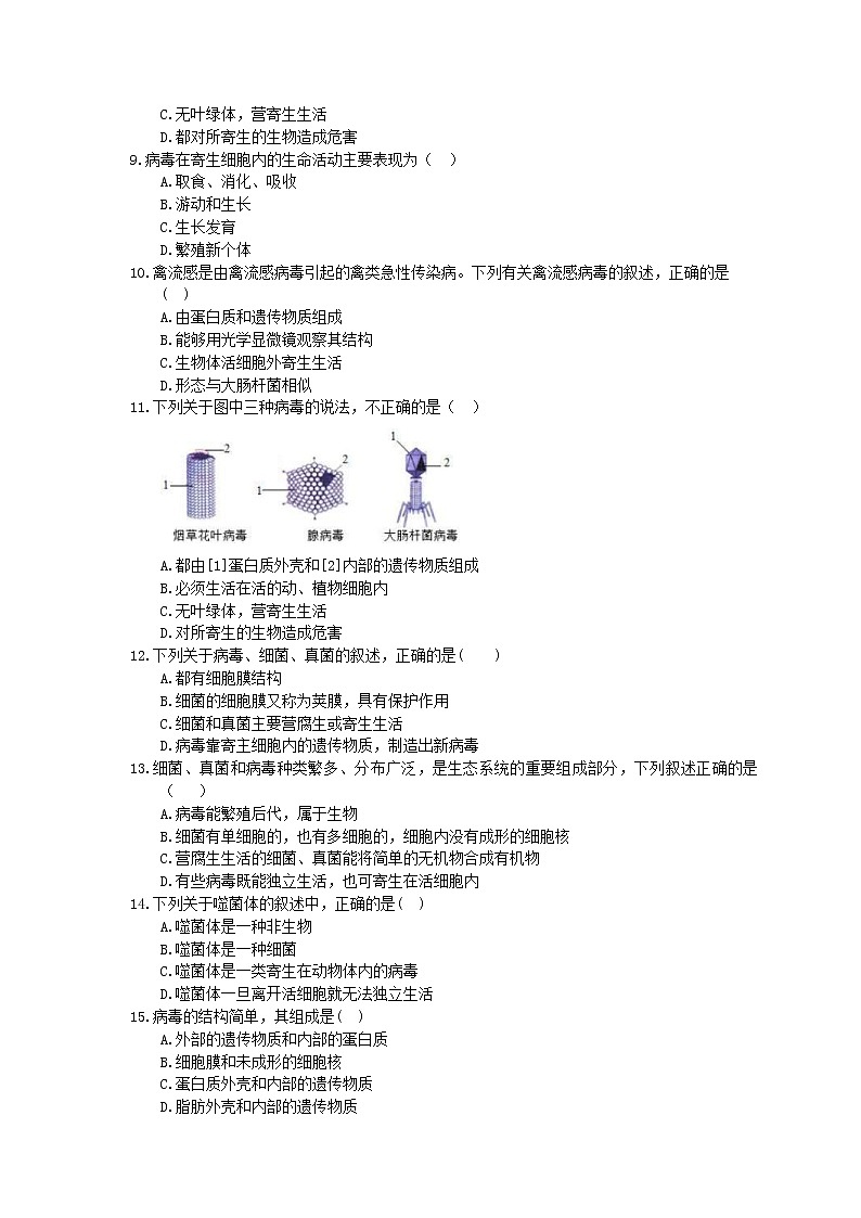人教版生物八上《病毒》同步练习(含答案)02