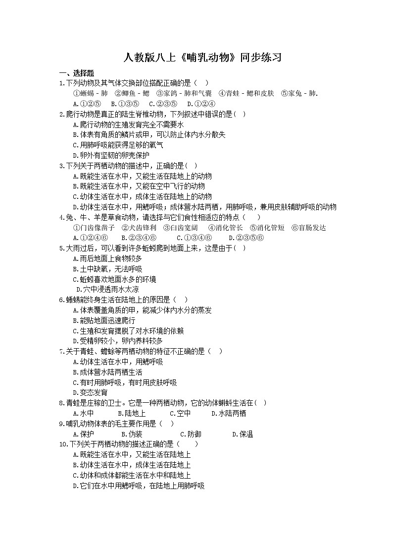 人教版生物八上《哺乳动物》同步练习(含答案)01