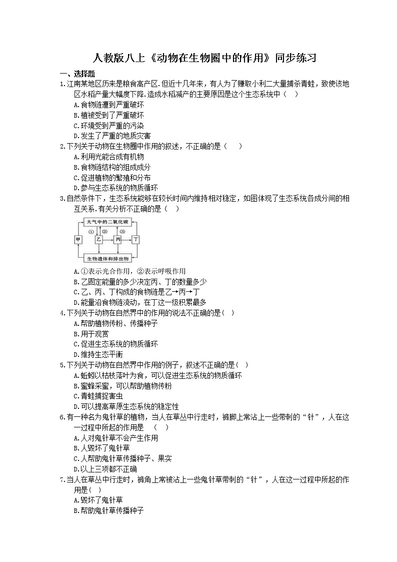 人教版生物八上《动物在生物圈中的作用》同步练习(含答案)01
