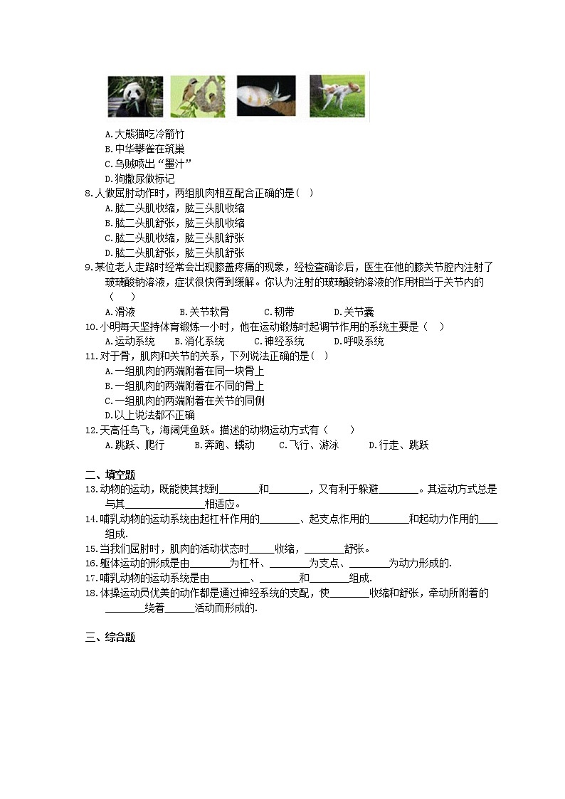 人教版生物八上《动物的运动》同步练习(含答案)02