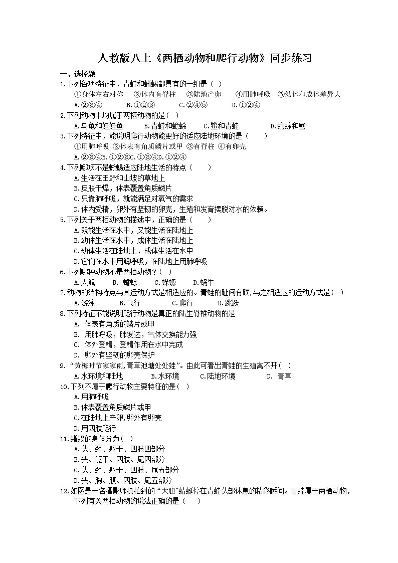人教版生物八上《两栖动物和爬行动物》同步练习(含答案)01